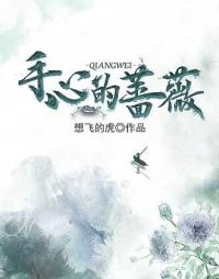 手心的蔷薇吉他谱c调