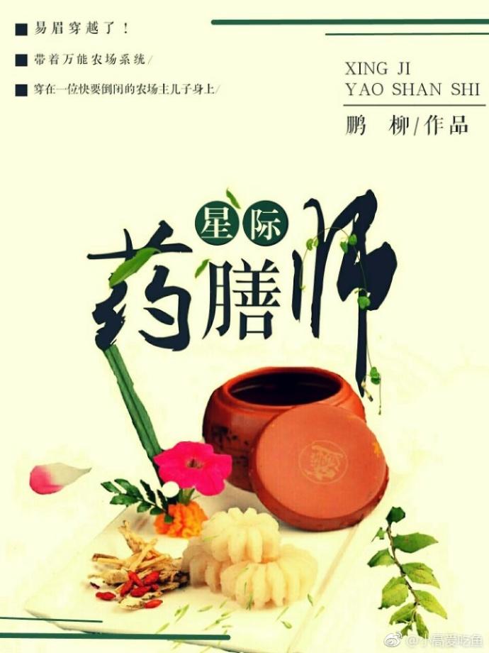 穿越未来之星际药膳师