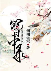 簪中录电视剧什么时候播