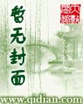 大宋京华梦几点开始